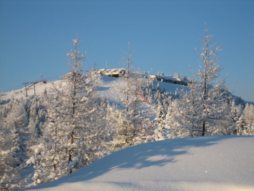 Rifugio Verenetta Casere Verena Eksteriør billede